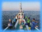 myweb1001020.jpg